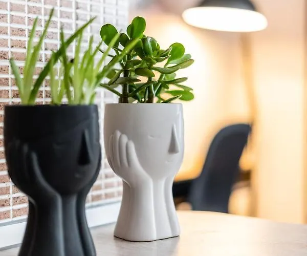 Otium Living * Vólos