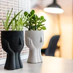 Otium Living * Golos